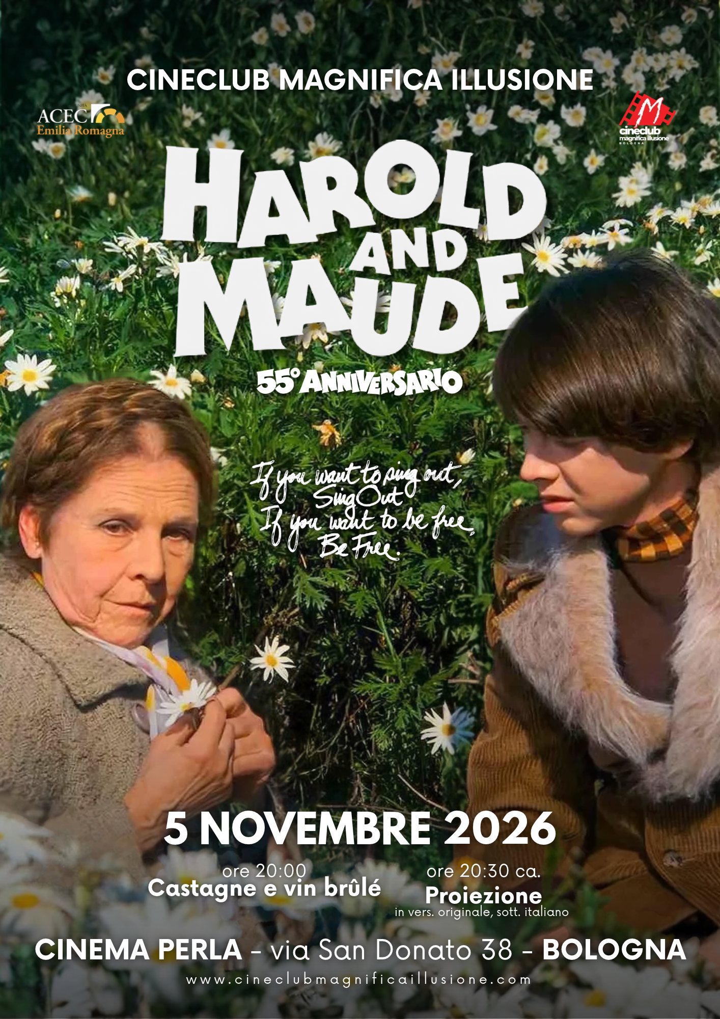 Locandina di Harold and Maude per il 55° anniversario: 5 novembre 2026 al Cinema Perla di Bologna, castagne e vin brûlé alle 20:00 e proiezione alle 20:30 circa.